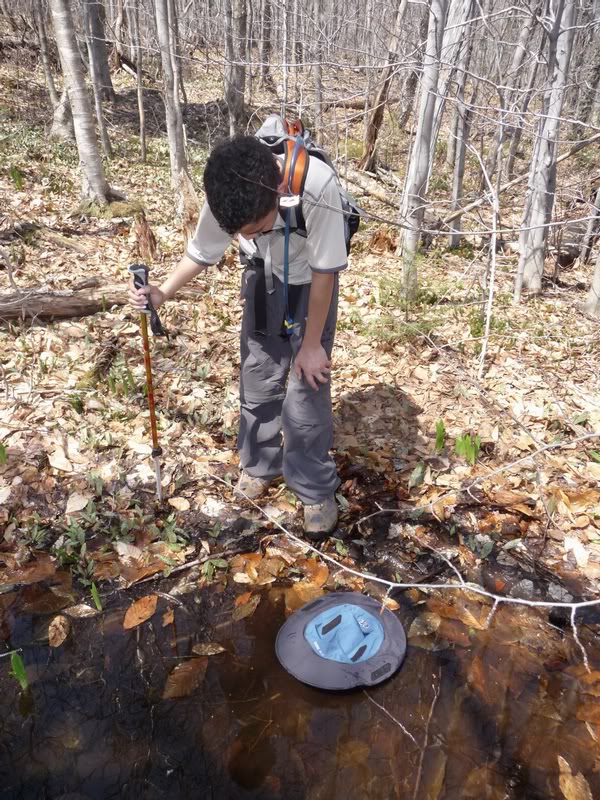 07-POOL OF MUDDY WATER TO COOL OFF