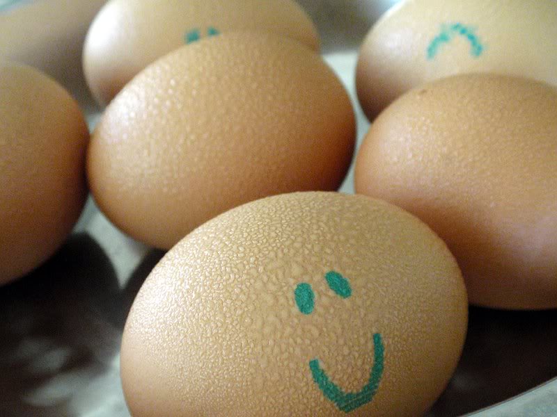 Happy eggs 1