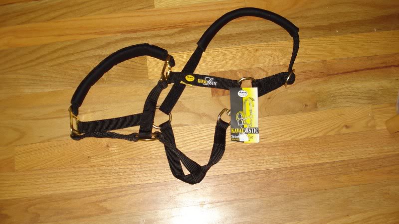 Kavalastic Halter New