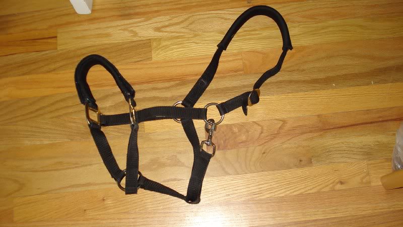 Kavalastic Halter Used