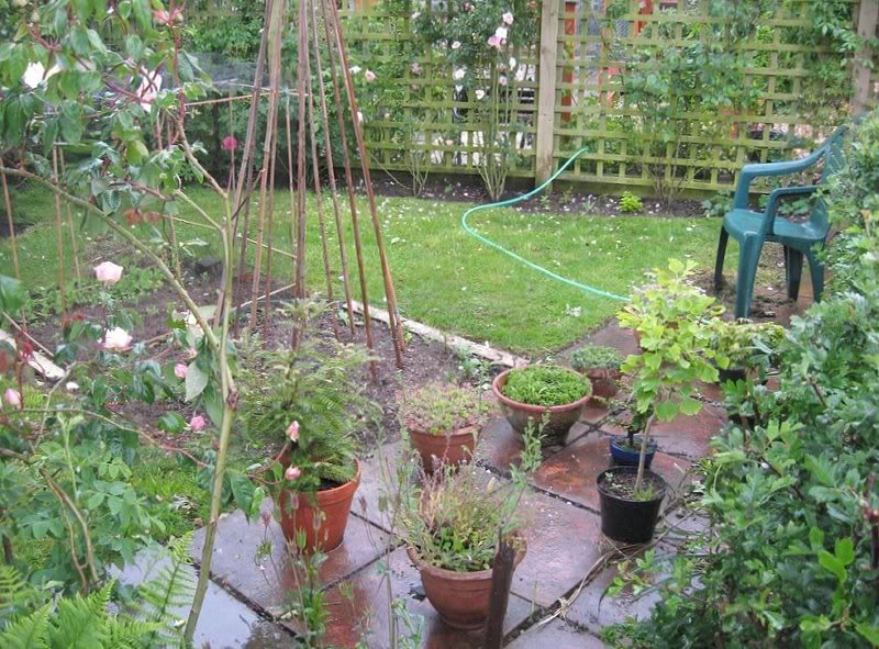 New Hose and Plants 27.5.09