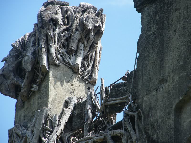 new year's eve pics_2008 035