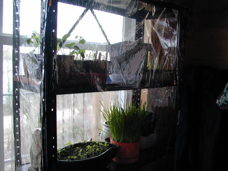 Mini greenhouse