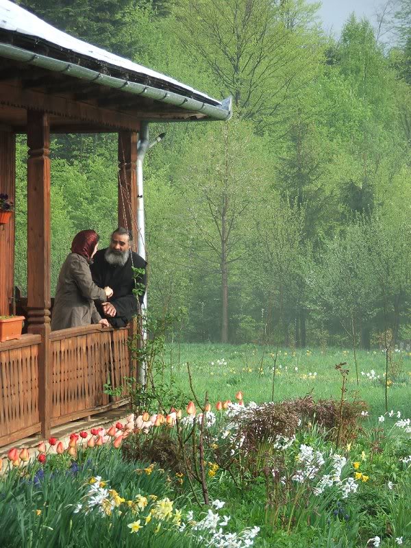 Duminica ploua in paradis (19)