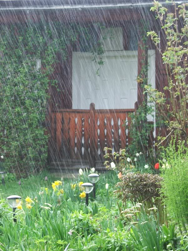 Duminica ploua in paradis (2)