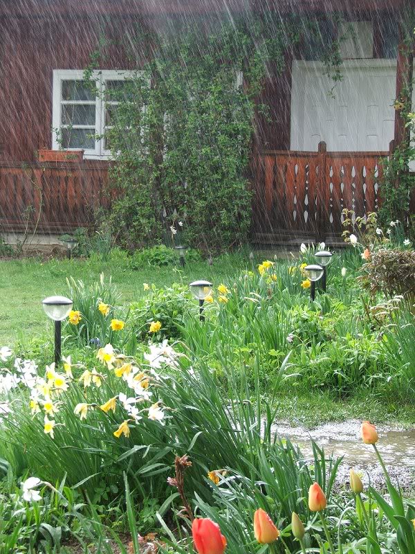 Duminica ploua in paradis (3)