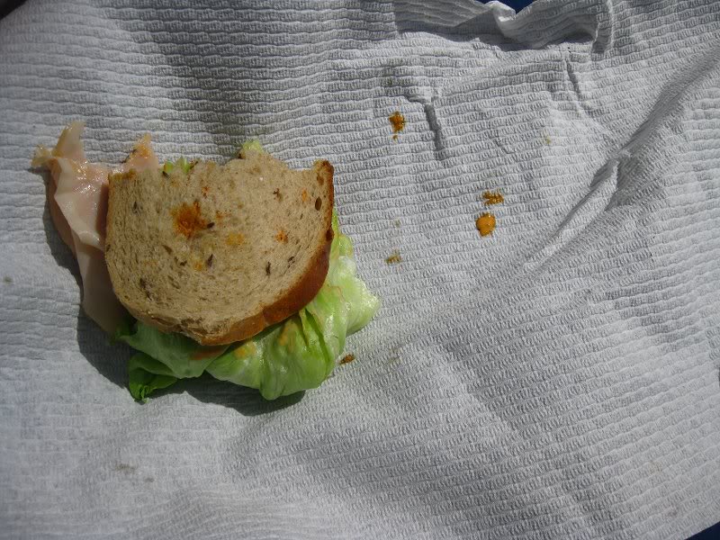 (57) turkey sandwich