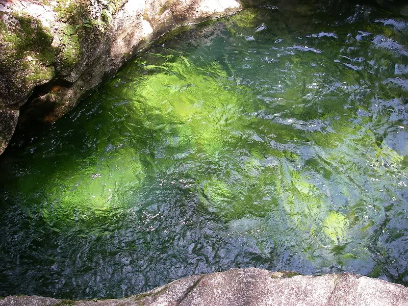 Evan's Notch, May 2009 002