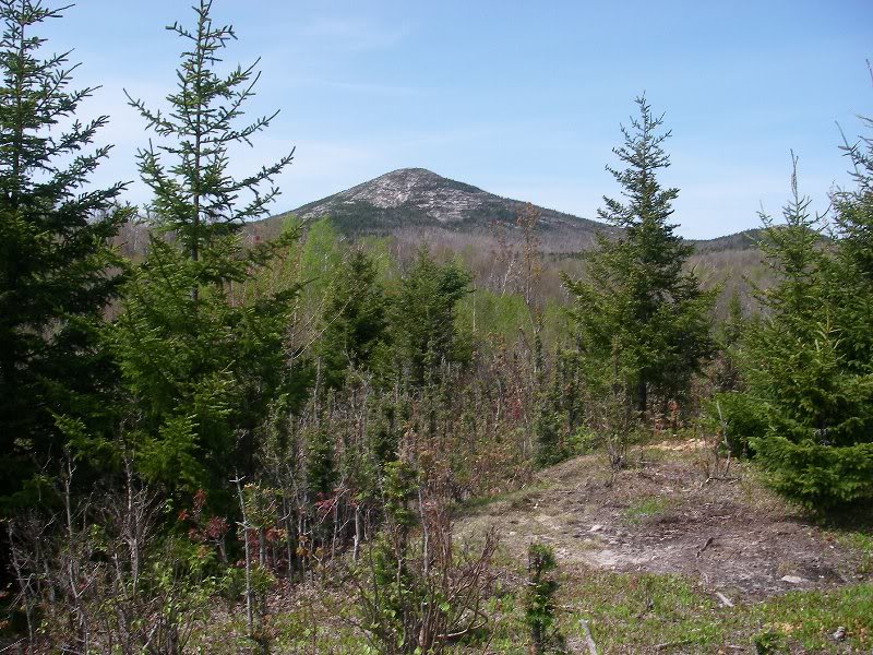 Evan's Notch, May 2009 004