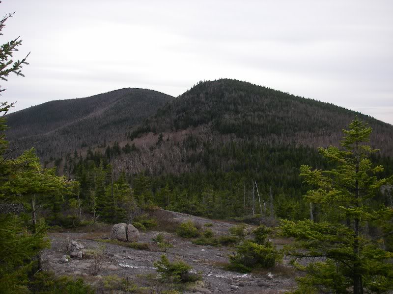 Evan's Notch, May 2009 006