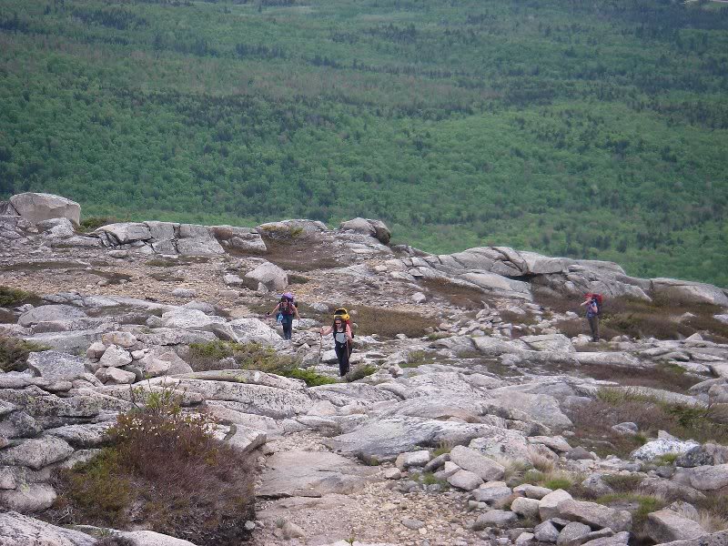 Evan's Notch, May 2009 009