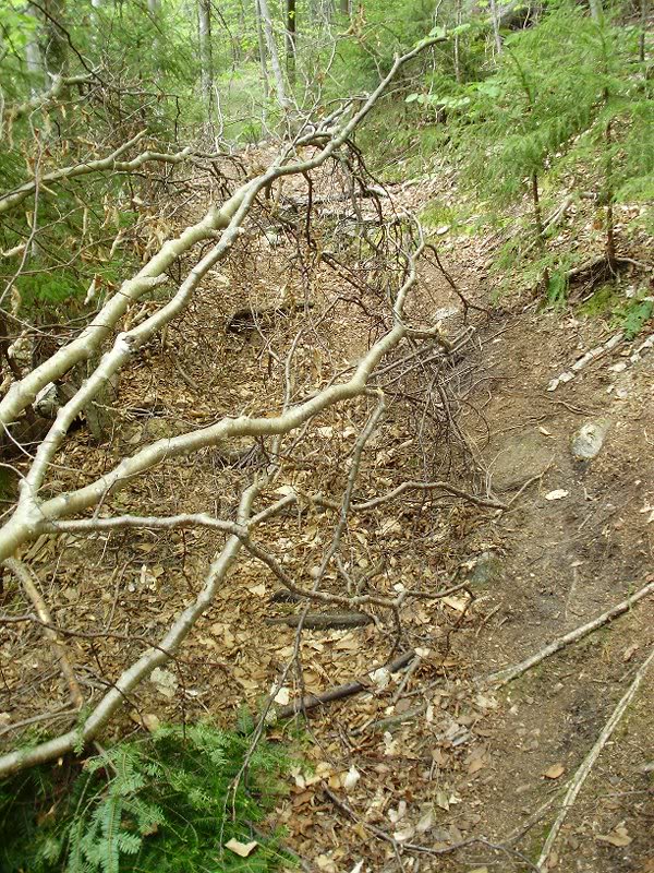 Worst blowdown the whole way, not bad