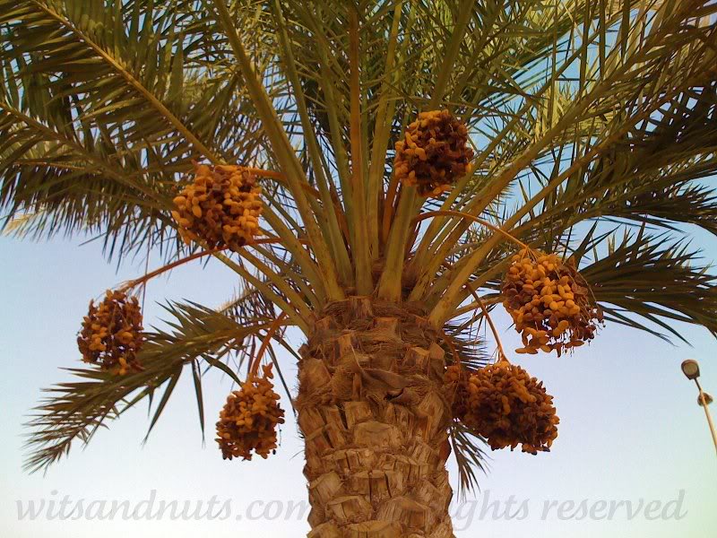 dates september 2008