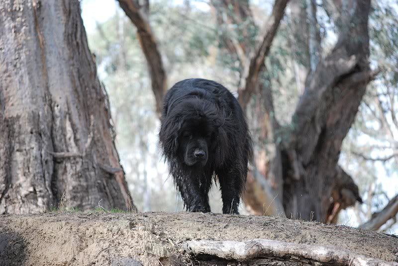 Annabelle on the bank