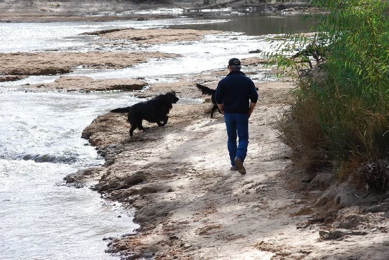 Mike and dogs at the river