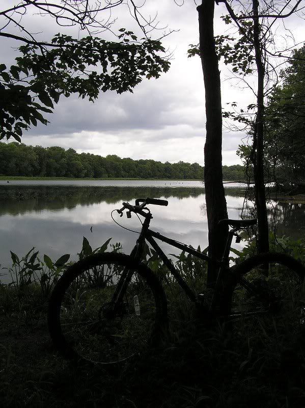 Part of Savanah River