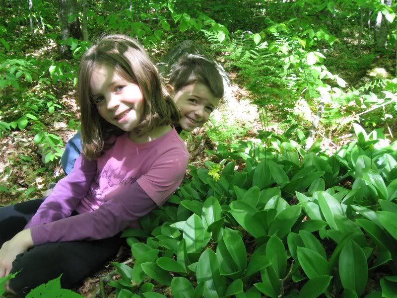 Kids, lilies, both come in bunches