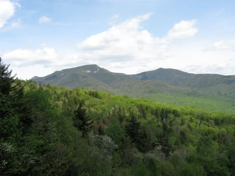 Osceolas from the lower lookout (ski area)