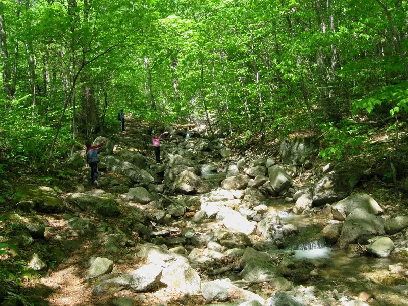 The Mt. Tecumseh Trail follows this brook for a while, ...
