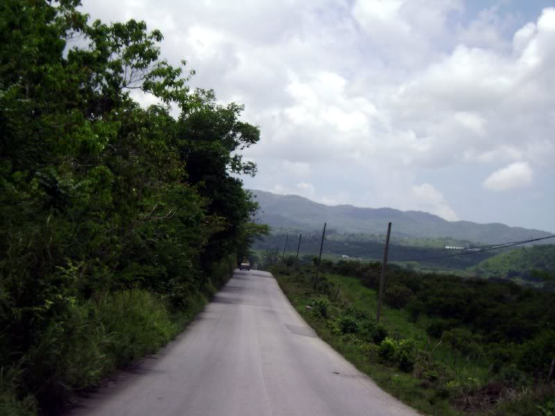 Jamaican Mountians1