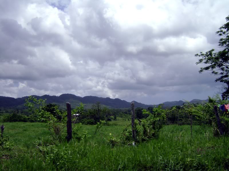 Jamaican Mountians3