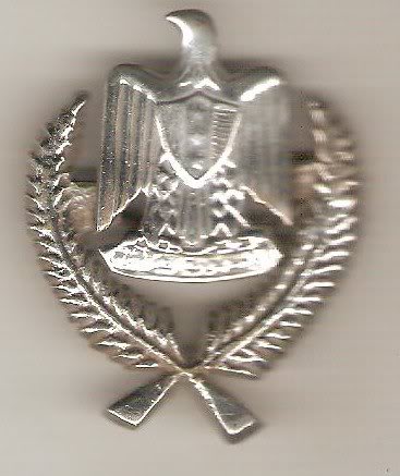 Republic Insignia