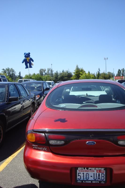 Bennie on the antenna