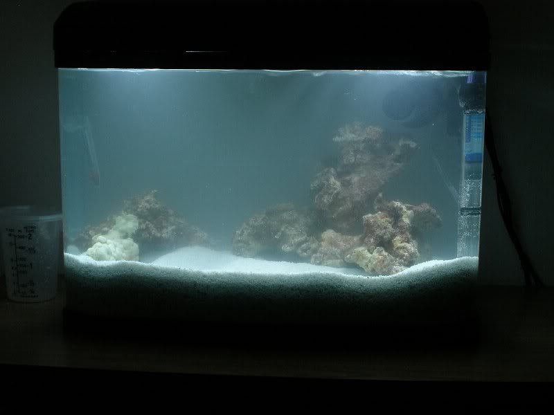 55 Litre Aquarium - 20090523-002