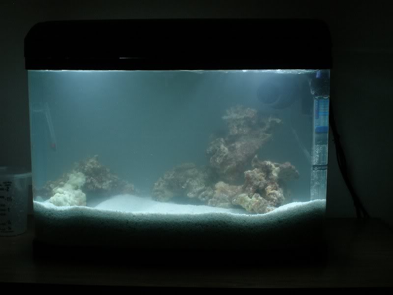 55 Litre Aquarium - 20090523-003