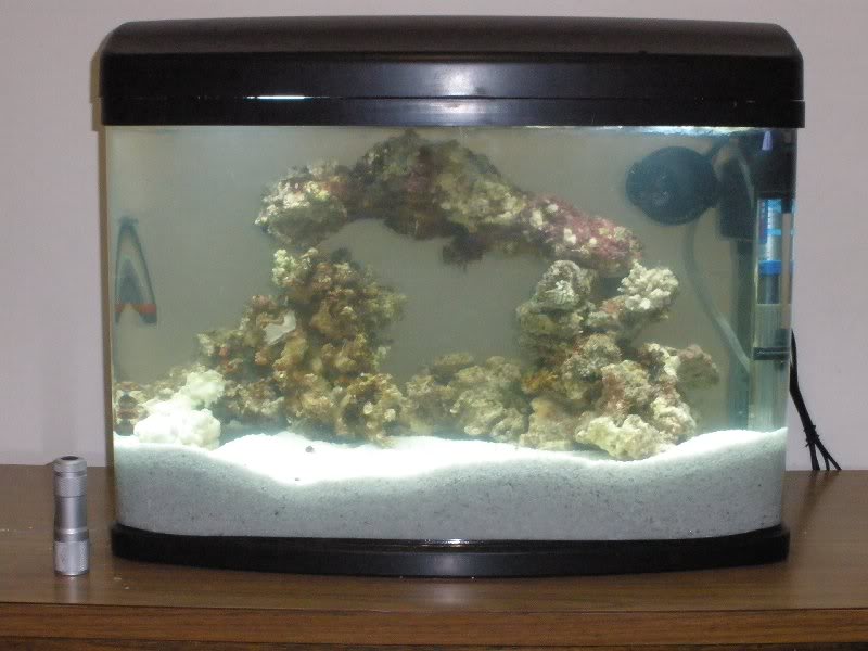 55l Aquarium - 20090524-001