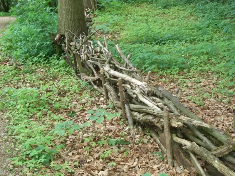 die Besucherabgrenz ung vor den Gittern ...