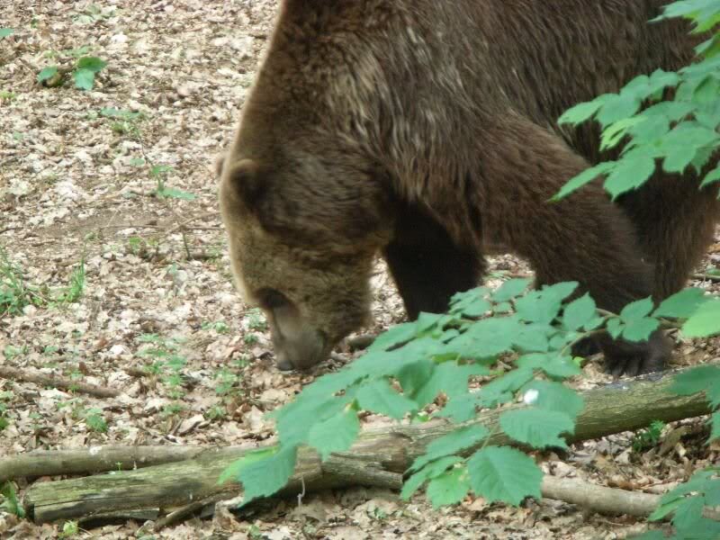 hier scheint es gut zu riechen