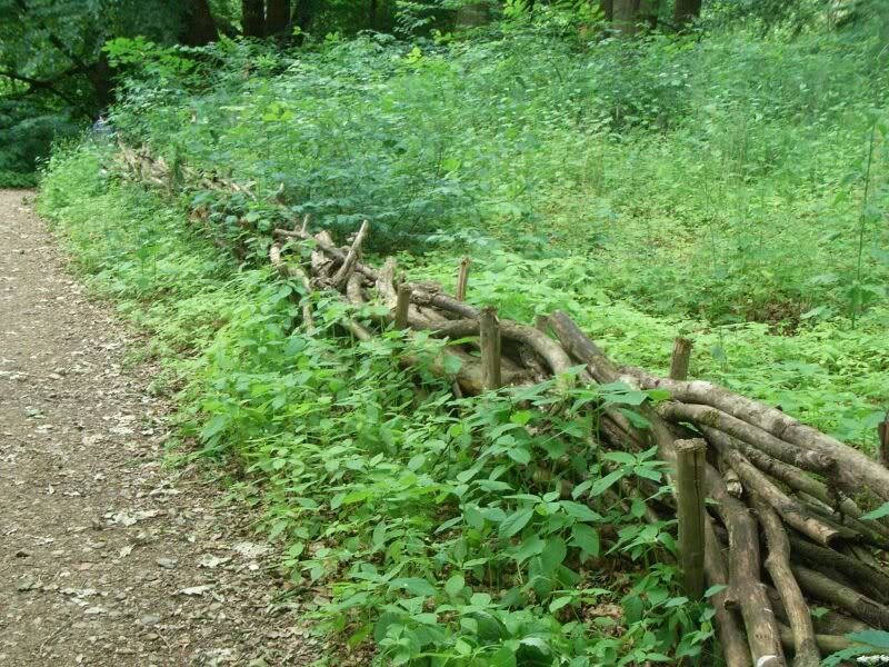 ... ist ein Paradies fuer kleine Tiere