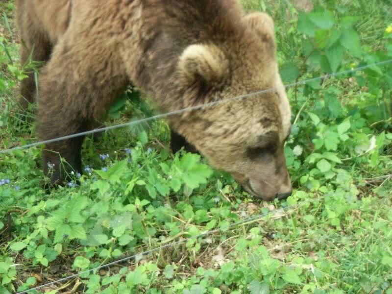 ... ist ein tolles Beschaeftigungs programm