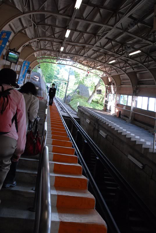 ��������������� ��������������� ��� - ���������