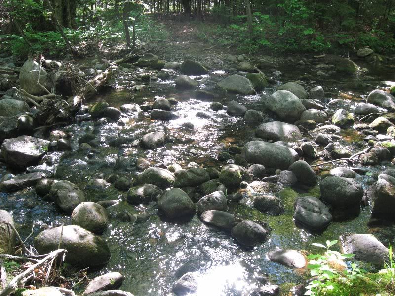 Cross over this stream