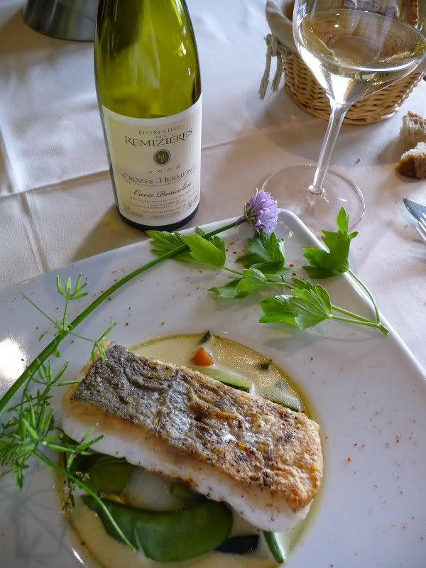 Northern Rhone May 09 034