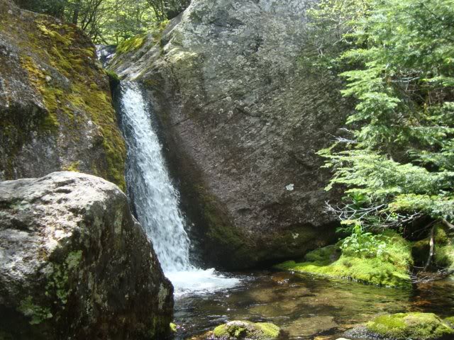 2009-06-13 Mt. Madison 006