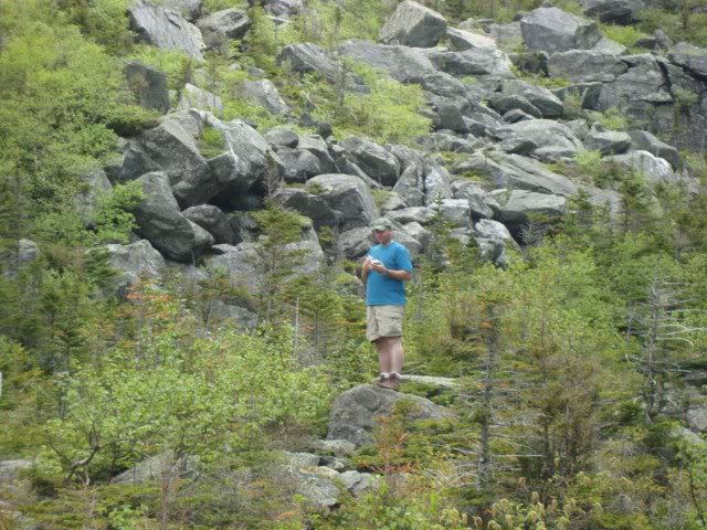 2009-06-13 Mt. Madison 012