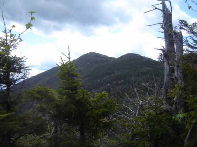 looking over at Haystack and baby from the Shorey short...