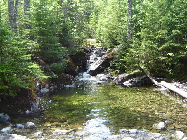 the stream near slant rock