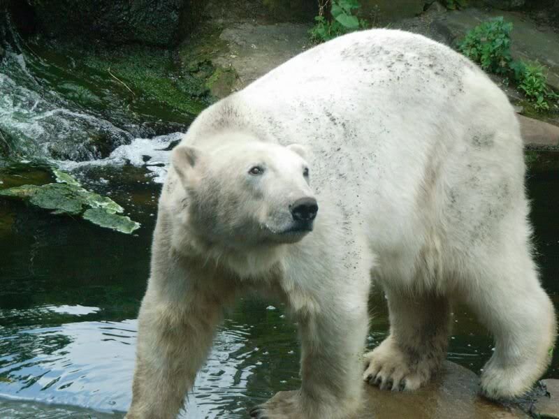 die sind nicht sehr lange interessant