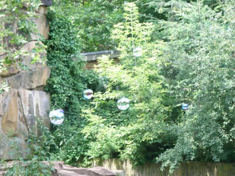 wieder einmal kommen Seifenblasen angeschwebt