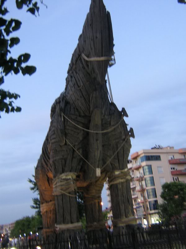 calul troian (cel care a fost in film)