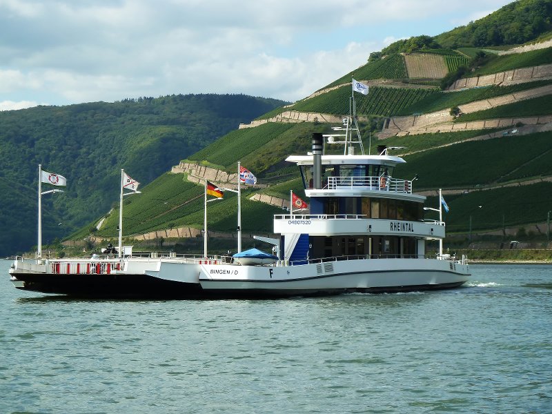 ������������ ������������ ������������ �������������� 1...