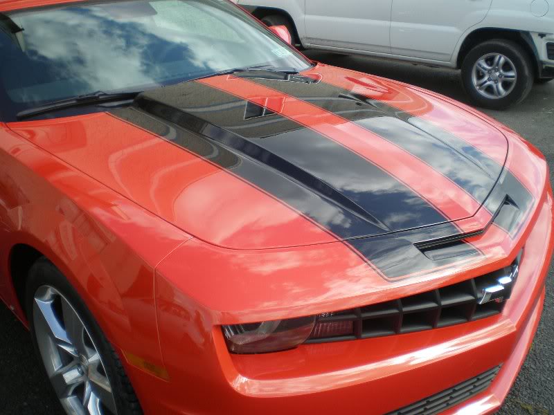 Black stripes painted 2