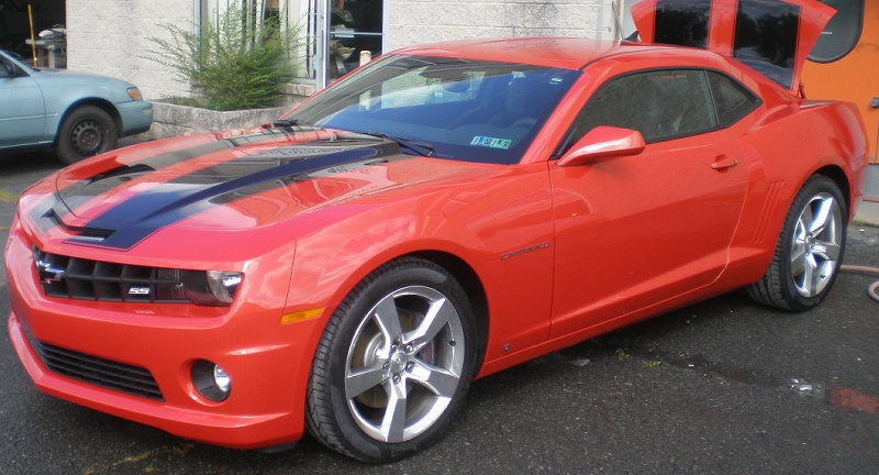 Black stripes painted 3