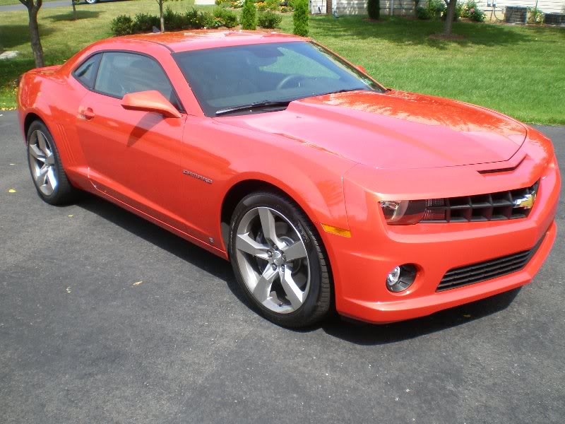 Nice Sunny Day for a Picture