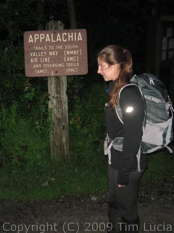 Still darkish in the woods