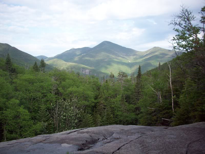 Macs from Indian Falls